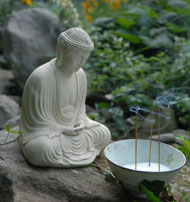 T'ai Chi and Chi Kung