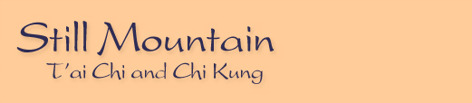Still Mountain T'ai Chi and Chi Kung